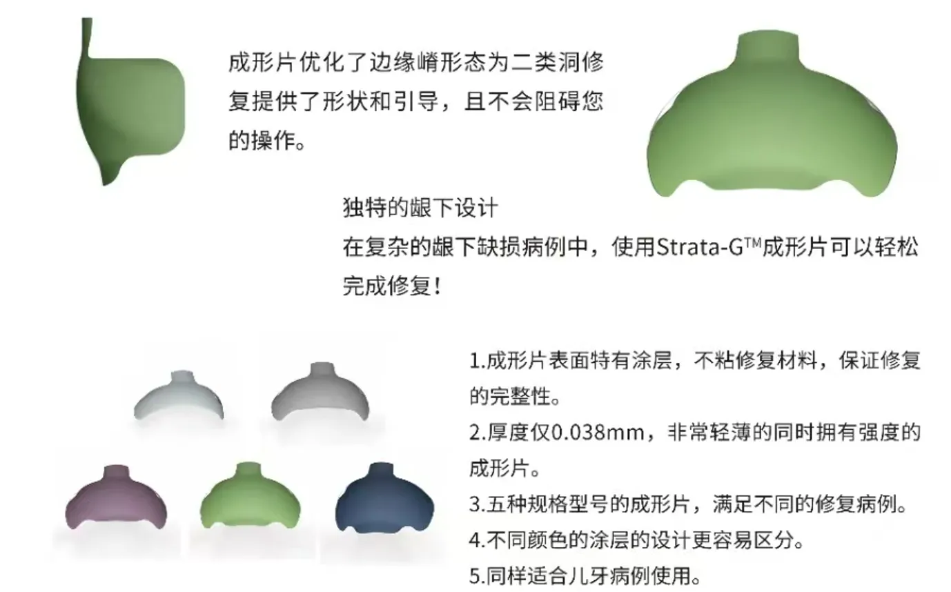image.webp image.webp