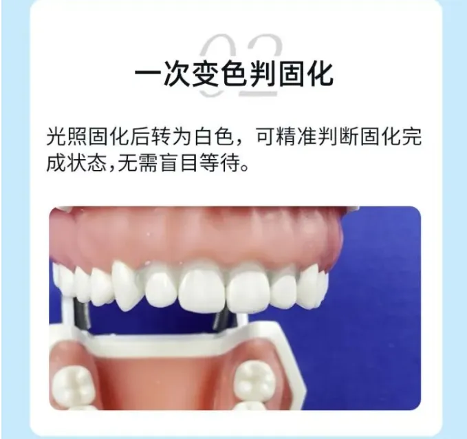 image.webp image.webp