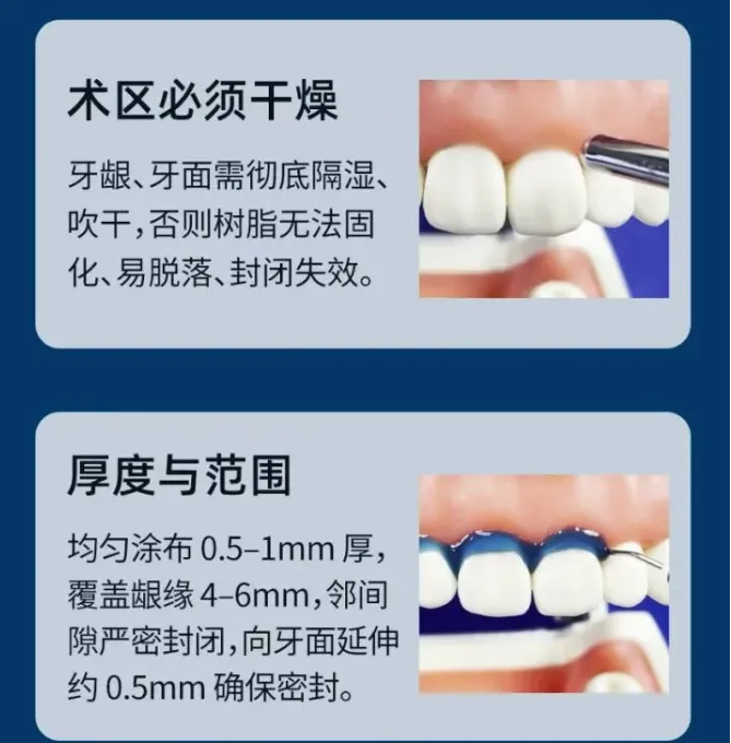 image.webp image.webp