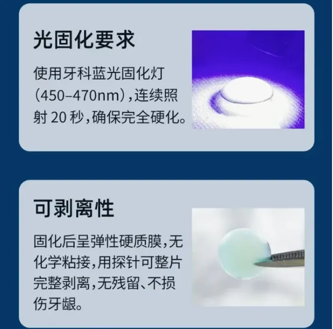 image.webp image.webp