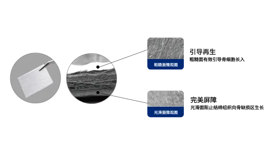 d771c7e97ef0d611ab1921a5b4db51f2.webp